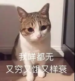 猫猫这么可爱,可是为什么12生肖里没有猫
