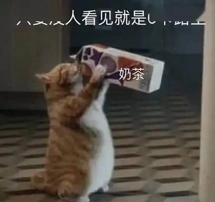 你有多久没到赛场上活动活动了
