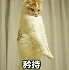 hello这一届品牌跨界有事吗
