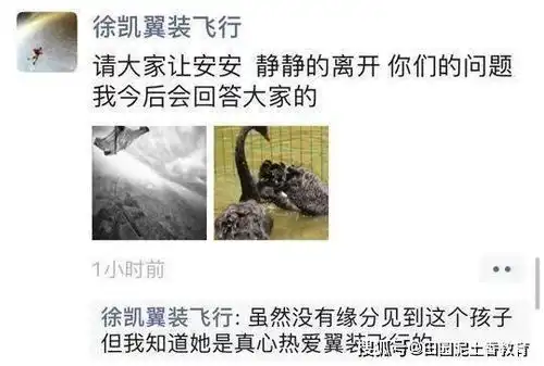 女翼装飞行员最后一跳画面平稳飞19秒偏离路线,17秒摄影师就挥手示意她开伞
