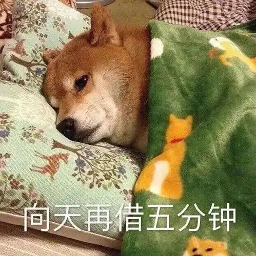 茄子玩偶表情包起床了打工人
