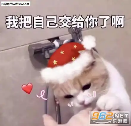 今夜我就是你的圣诞礼物喜欢吗图片我能和你过圣诞节吗表情包下载乐游网游戏下载
