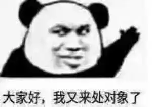 表情包大家好,我又来处对象了
