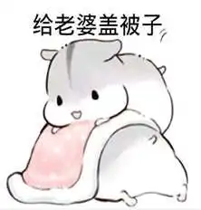 抖音哄老婆专用表情包哪里有老婆永远是对的表情包分享
