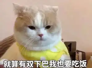 电子音乐资讯的微视账号暂时更新
