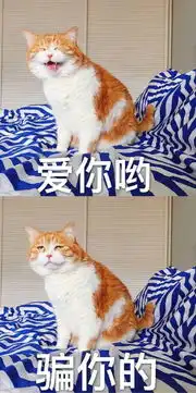 10个橘猫9个胖还有1个特别壮
