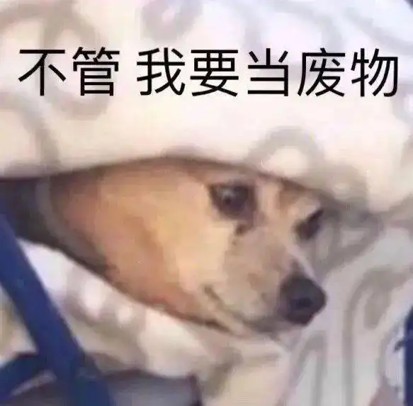 表情包杂集杂七杂八表情包,一起更新就好了
