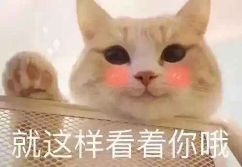 斗图表情包我没有炫富的资本,但是我又装逼的后台
