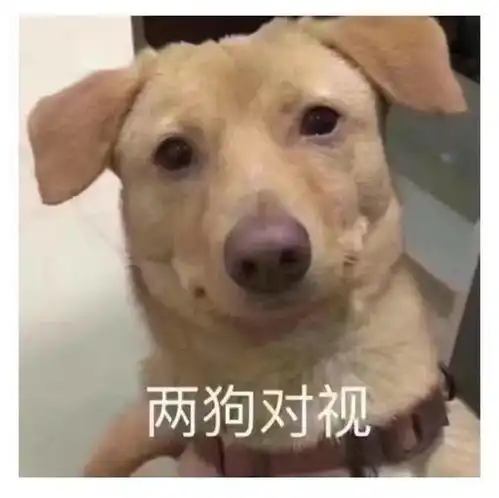 人类高质量七夕相亲贴来咯快来...
