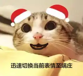 嘬表情包萌猫
