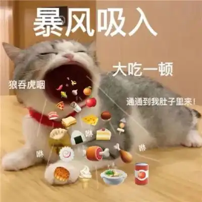 很火的经典微信表情包大全
