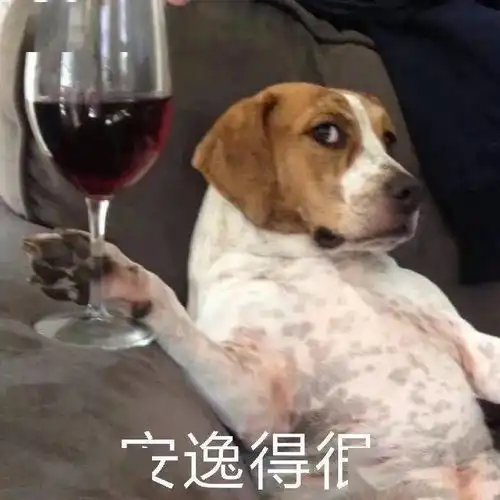 车站椅子上密密麻麻的孔,是为了方便放屁吗
