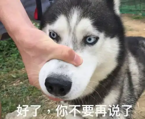 如果可以取消一门学科,你会选哪个我想,我可能不会选英语
