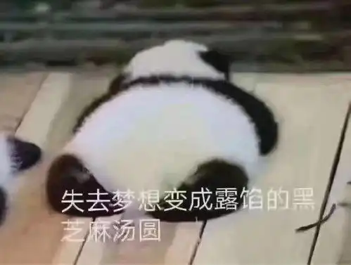 熊猫瘫表情包摆地摊