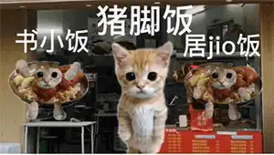 可颂猫表情包大全
