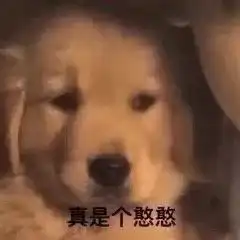 表情包丨真的吗真的吗真的吗
