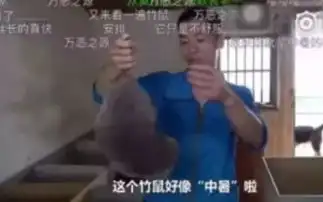 欢迎走进土味的世界
