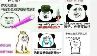 求个表情包就是金厂长暴走漫画里面的

