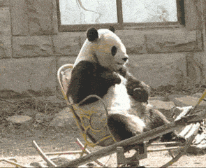毕业了,学姐们摆摊处理生活用品,大家说我要不要买一点呢
