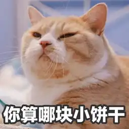 喵星人给你丢了个表情包你算哪块小饼干
