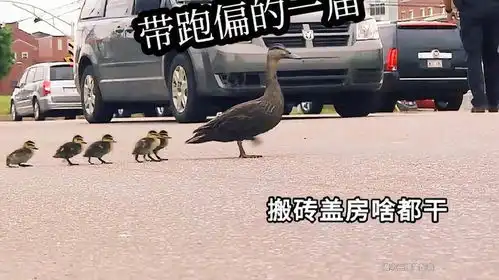 这一届彻底带跑偏了搞笑配音神奇动物在抖音
