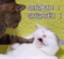 传授你一个男生见到都喜欢的妆容

