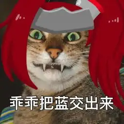 我们不是刺客,被迫出打野装,弱小无助可怜,对面我都09了
