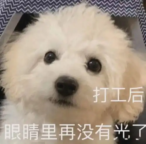 沙雕表情你击中我了妹妹

