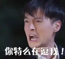 胡歌qq表情包下载胡歌表情包飞翔下载
