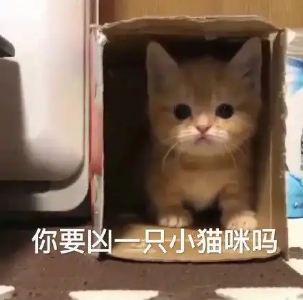 沙雕表情包等着我,我马上到哟
