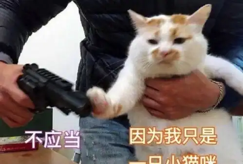 当榴莲遇上猫猫狗狗,它们的反应仿佛看见了自己
