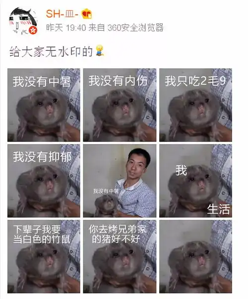 这只竹鼠承包了我一天的哈哈哈笑点
