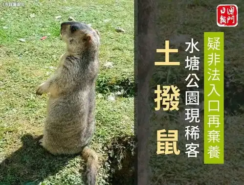 超级网红现身水塘公园,市署却发现
