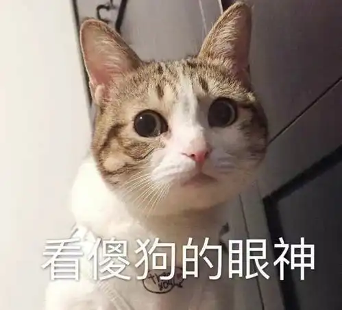 七夕特辑这个七夕怎么过
