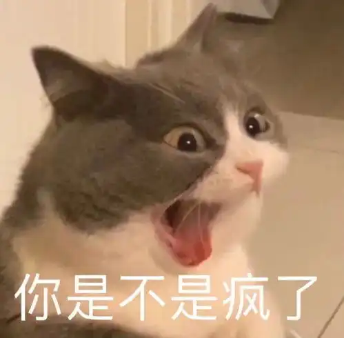 可爱猫猫表情包一我好想你鸭
