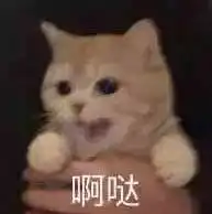 你敢跳,我就敢看
