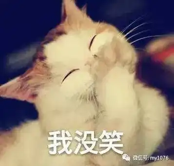 春节回家,我就是国家一级假笑演员
