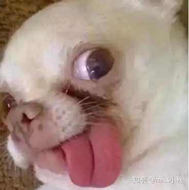 皮肤专家告诉你,这6款医美面膜才值得一试
