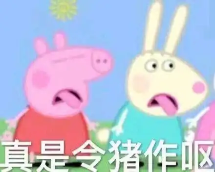 给一个人发这样的图片他总是说你是狗吗你是猪吗,我该怎么回答他
