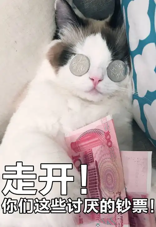 怪不得人人都想当明星了
