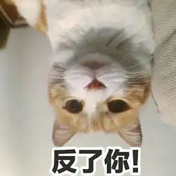自问自答测试