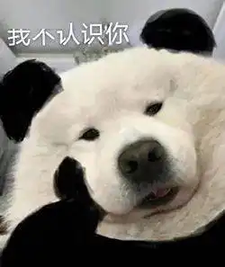 狗勾托腮表情包合集
