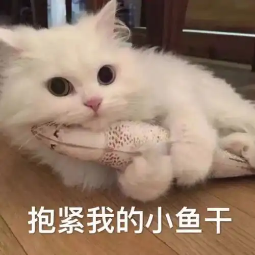 毛虾
