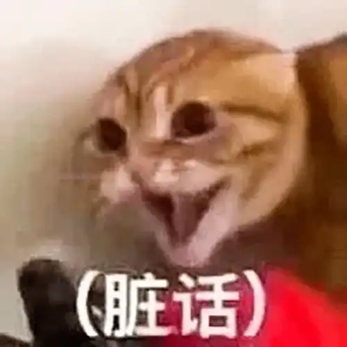 猫翻脸有多快
