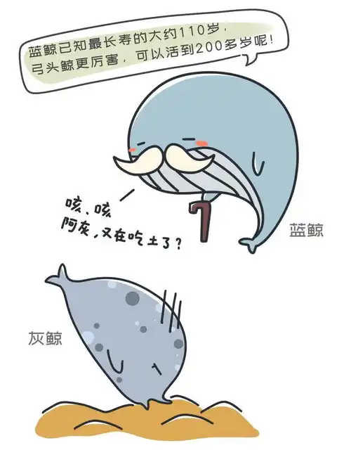 这套表情包啧啧不单纯
