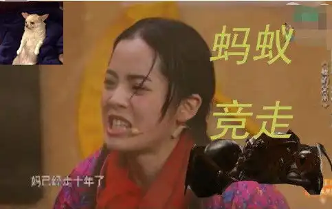 杨超越哭戏画面曝光,面无表情两眼无神,从欧阳娜娜这继承的
