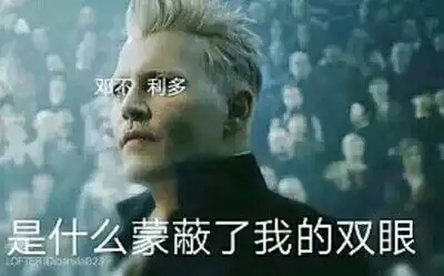 约翰尼德普第二弹表情大帝

