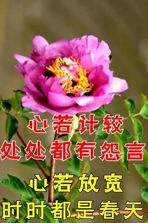早上好表情包,清晨的第一声问候,祝大家身体健康一生平安
