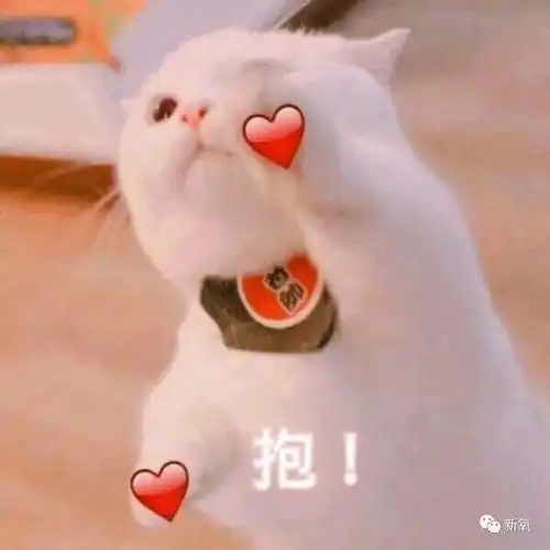 新晋古风大女主长这样,这是毛晓彤失散多年的亲生姐妹么
