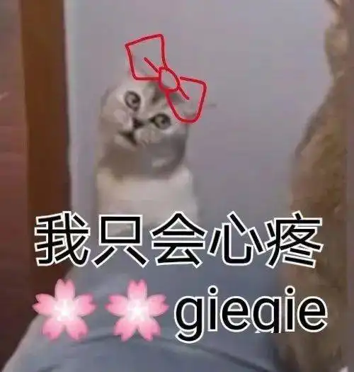 六房最不缺的,就是迷惑的人类行为
